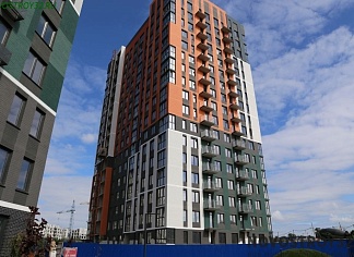 Изображения