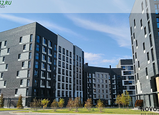 Изображения