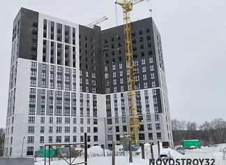 Изображения