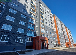 Изображения