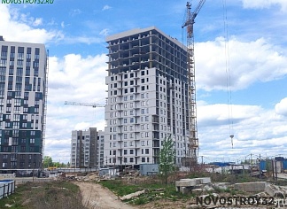 Изображения