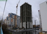 ноябрь 2024