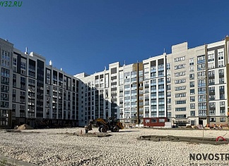 Изображения