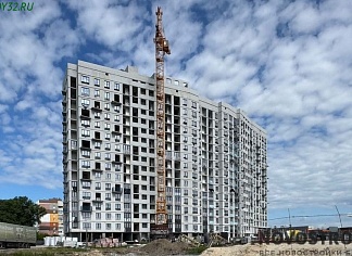 Изображения
