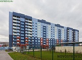 ноябрь 2024