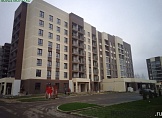 ноябрь 2024