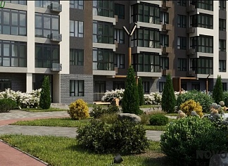 Изображения