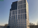 февраль 2025