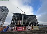 январь 2025