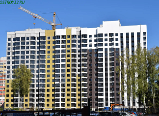 Изображения